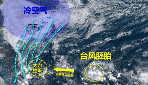 东莞天气预报（东莞天气预报最新）