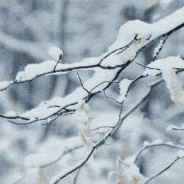 河南下周雨雪天气预报（河南明天下雪）