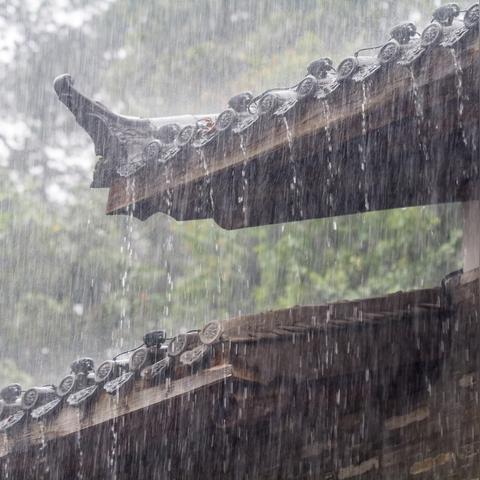 中央台最新天气预报(中央最新天气预报视频今天晚上) 中央台最新天气预报(中央最新天气预报视频今天晚上)
