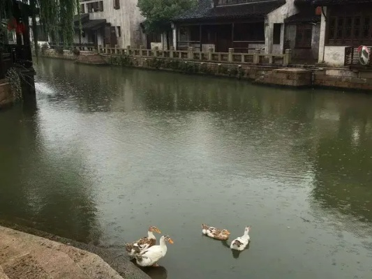无锡的雨，江南的梦