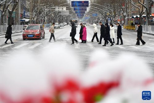 山东迎新一轮雨雪天气,2025年首场大范围降雪拉开序幕 山东迎新一轮雨雪天气,2025年首场大范围降雪拉开序幕