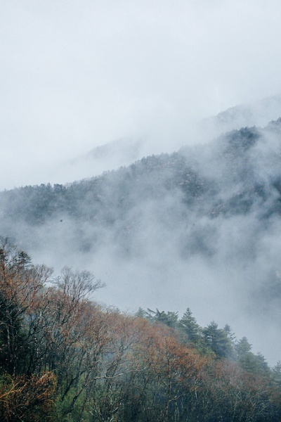 神农架天气,云雾里的四季诗篇 神农架天气,云雾里的四季诗篇
