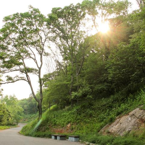 南京十天天气预报,晴雨交替中的城市呼吸 南京十天天气预报,晴雨交替中的城市呼吸
