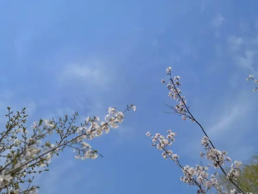 昆明的天空，是一封写给春天的情书